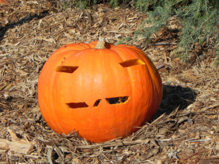Trapezoid, Nipomo Pumpkin Patch best carving idea
